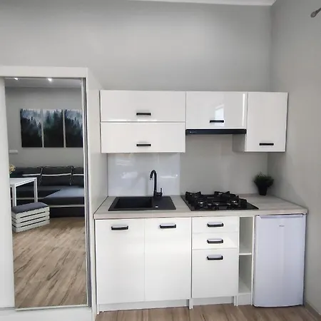 Apartament Baranek Nad Jeziorem Gostycyn Exterior photo