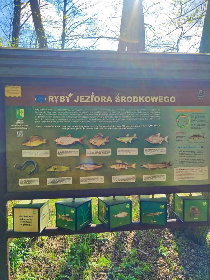 Baranek Nad Jeziorem * Gostycyn