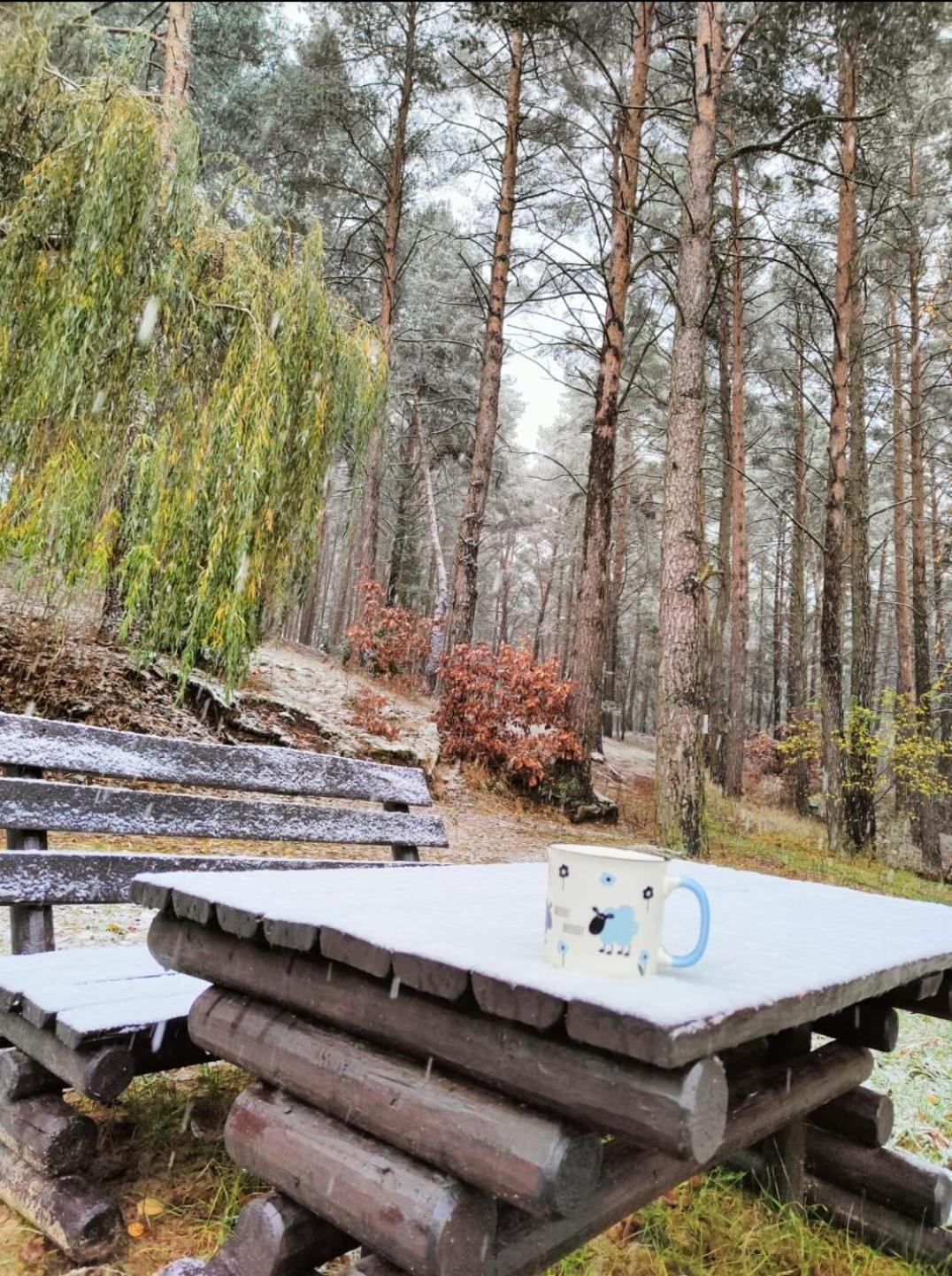 Baranek Nad Jeziorem * Gostycyn